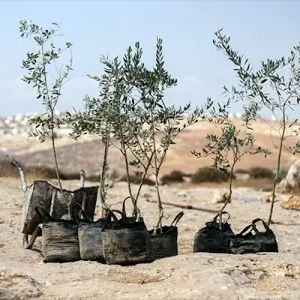 Child holding a sign that reads 'Save Khalet aDabaa'